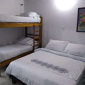 Hostel Palm Tree Hostel, Medellin