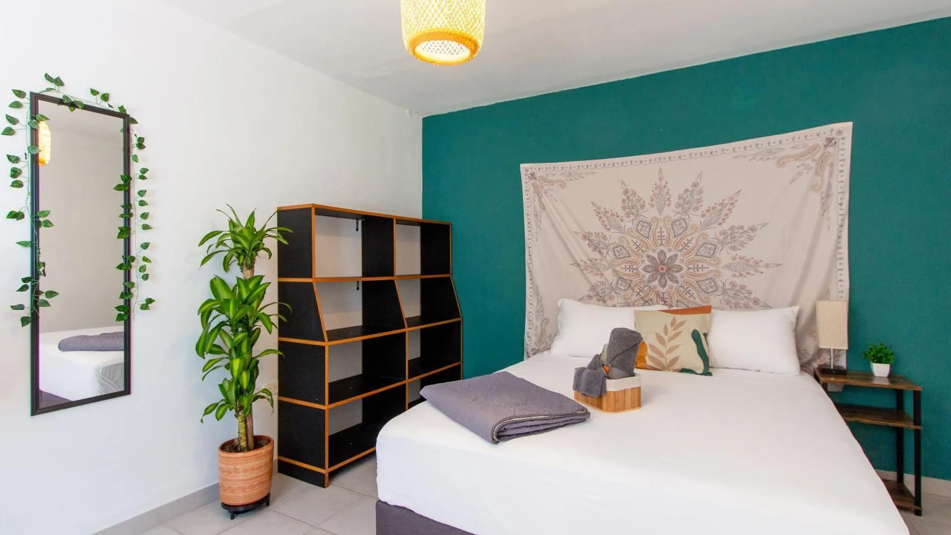 Ostello Conomad House - Coliving & Coworking Medellín